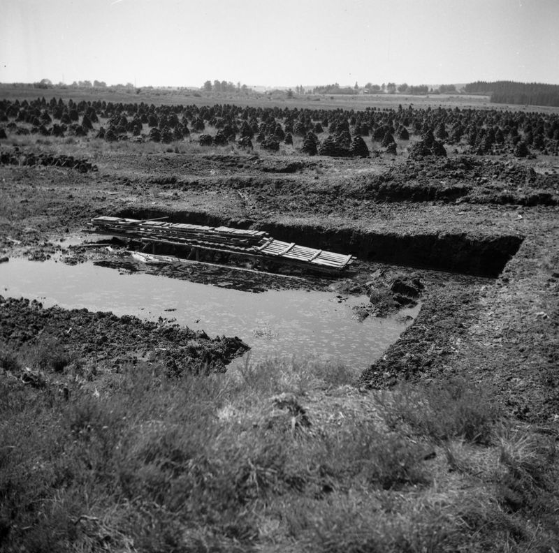 Tourbières juin 1936 4 Les Tailles