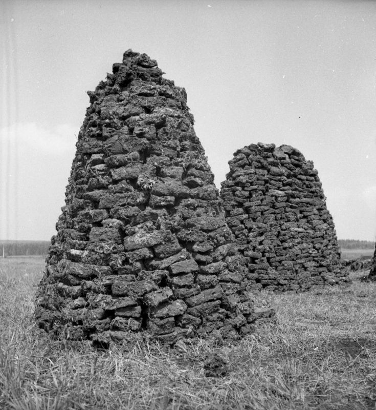 Tourbières juin 1937 3