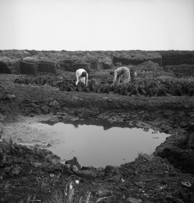 Tourbières juin 1941 1